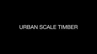 Urban Scale Timber Logo
